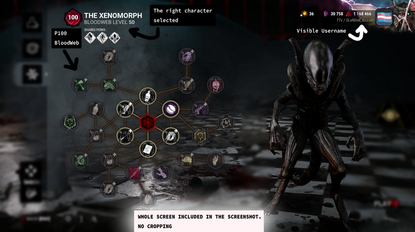 Example of a proper P100 screenshot