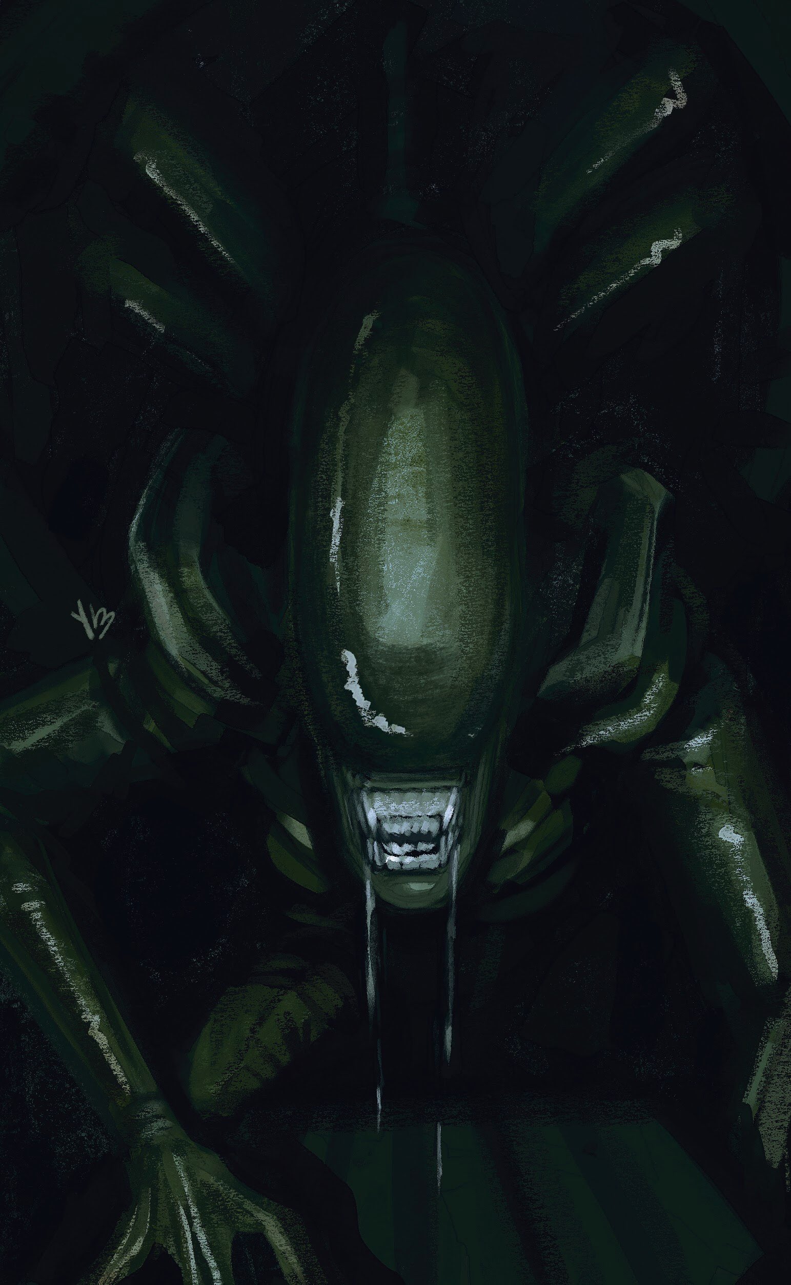 Xenomorph artwork by YM